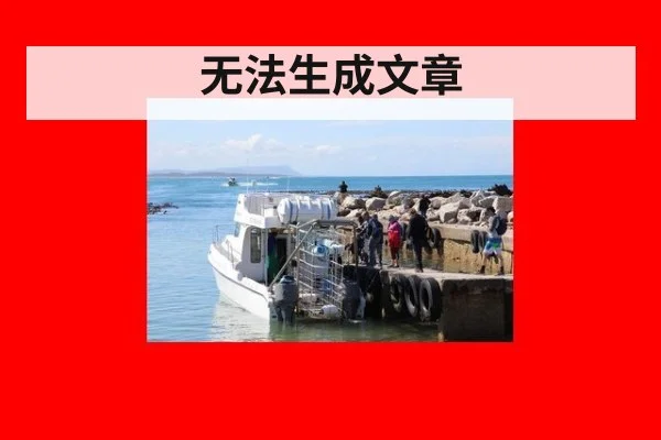无法生成文章