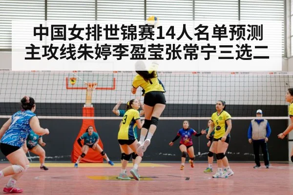 中国女排世锦赛14人名单预测 主攻线朱婷李盈莹张常宁三选二