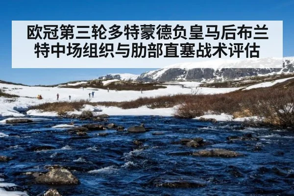欧冠第三轮多特蒙德负皇马后布兰特中场组织与肋部直塞战术评估
