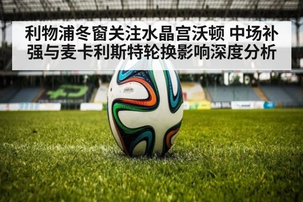 利物浦冬窗关注水晶宫沃顿 中场补强与麦卡利斯特轮换影响深度分析